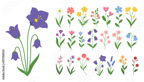 Flat Handdrawn Various Wildflower Botanical Illustration Garden Spring Season Set