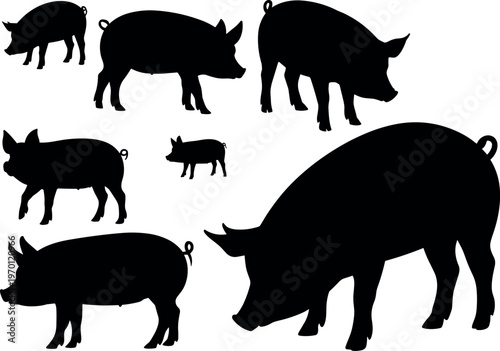 Silhouette set of pigs in different poses, farm livestock animals isolated on white background, agriculture and rural life concept