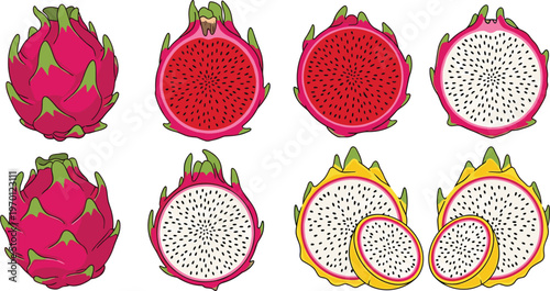 Dragon Fruit Vector Set with Whole and Sliced Red and Yellow Pitaya Fruits, Exotic Tropical Fruit Collection, Isolated on White Background for Food, Healthy Lifestyle, and Summer Designs