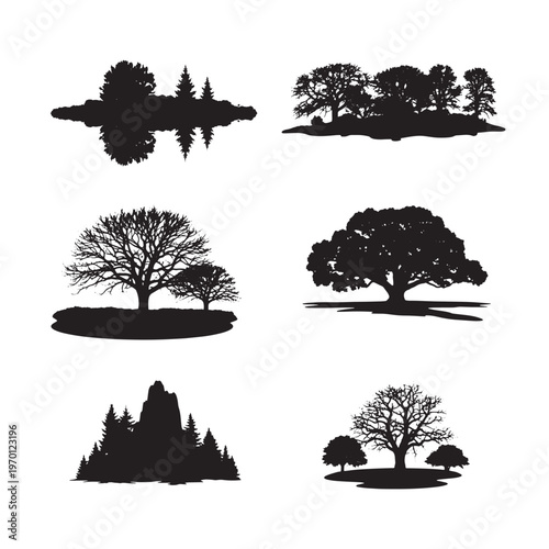 Black and white of coniferous trees and bushes on ground pine trees fir trees spruce trees