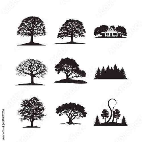 Black and white of trees and house with bench and lamp home