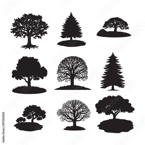 Black and white of various tree types with foliage deciduous coniferous