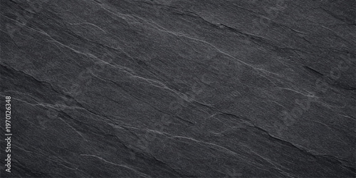 Black leather texture with black and white rough patterned surface background