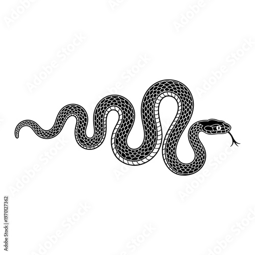 A black and white vector illustration of a slithering snake with detailed scale patterns and a flicking tongue. A clean, serpentine silhouette for nature or tattoo art.