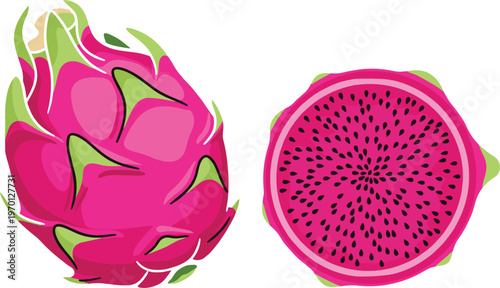 Vector Illustration of Dragon Fruit, Whole and Sliced, Vibrant Tropical Fruit for Healthy Eating, Smoothie, and Food Designs
