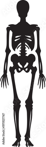 Main human body organ systems. Educative anatomy physiology