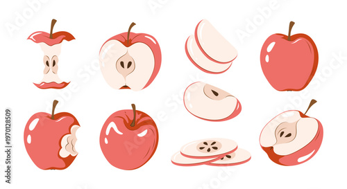 Set of red apples with whole, sliced, half and core pieces. Fruit vector illustration