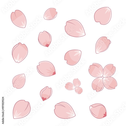 A collection of delicate, light pink cherry blossom petals scattered across a white background, some clustered and some individual.