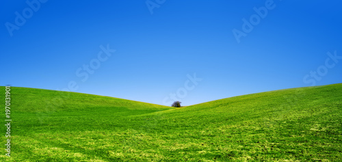 Spring landscape background with blue sky and green grass field.