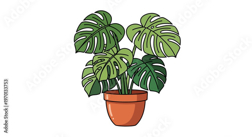 A vibrant potted monstera plant with large green leaves displayed indoors.
