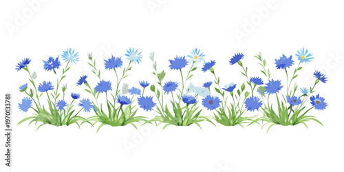 Horizontal border of blue cornflowers and green leaves, vector