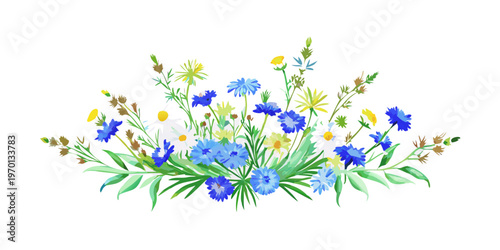 Bouquet of blue cornflowers and white daisies, vector