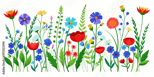 Colorful horizontal border with spring wildflowers and herbs, vector