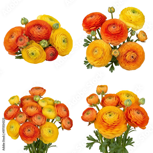 Orange and yellow ranunculus flower bouquets