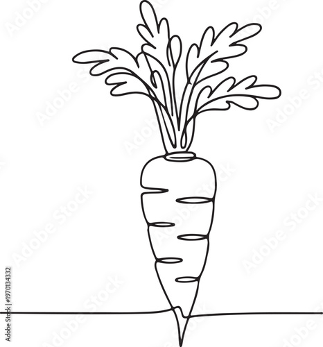 Growing carrot plant line art illustration with organic vegetable farming and fresh harvest concept