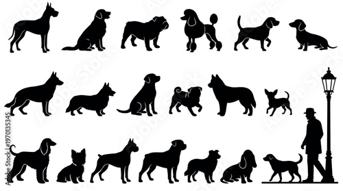 Collection of black dog silhouettes including various breeds and a professional dog walker near a lamp post, concept for pet shop branding, veterinary clinic and animal care advertising