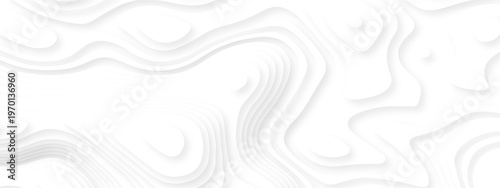 white topography map geography relief diagram texture design. Topography white background and black line world map texture design. Lines Topographic contour lines grid map seamless pattern.