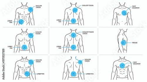 Medical diagrams of male anatomy silhouettes showing shoulder and lumbar pain points for department managers, concept for occupational health, ergonomics education and medical worker safety