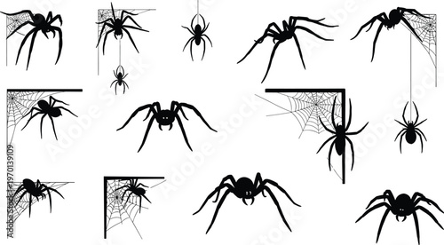 Set of black spider silhouettes with cobweb corners, creepy Halloween insect collection, isolated on white background, spooky arachnid design elements