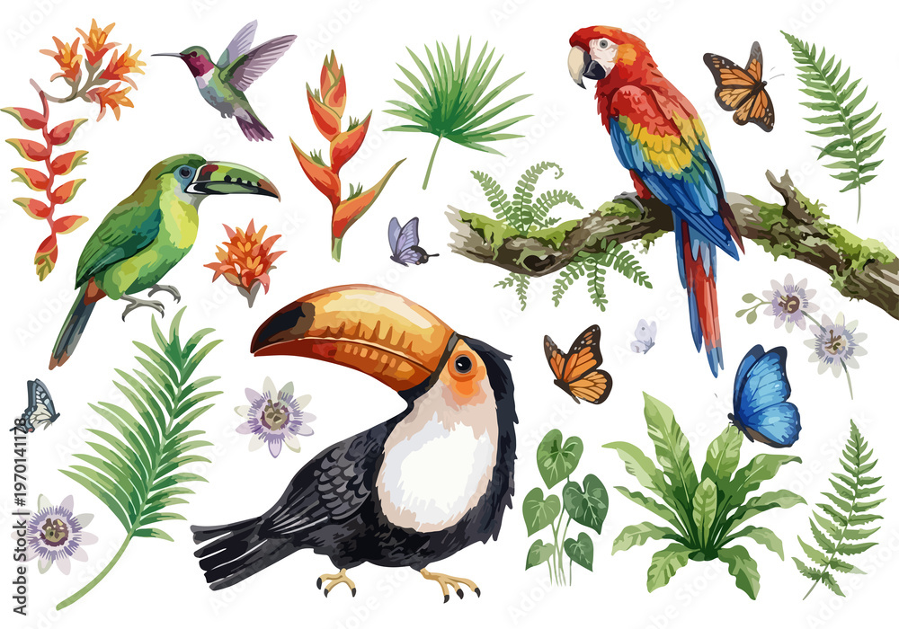Naklejka premium Watercolor tropical birds collection with macaw parrot, toucan, hummingbird, exotic flowers, and palm leaves isolated on white background.