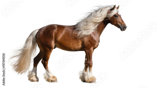 фотографія Majestic brown Clydesdale horse standing, displaying long flowing mane and feath