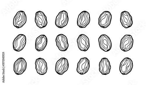 Minimal Raisin Sketch Vector Set in Clean Grid Layout with Simple Hand Drawn Style on White Background