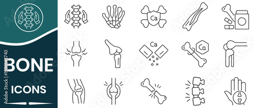 Human Bones icon set. Outline bone icon vector set.  Joint pain concept .Rheumatism, broken bone, hand bone, spinal cord and more.  Vector illustration.