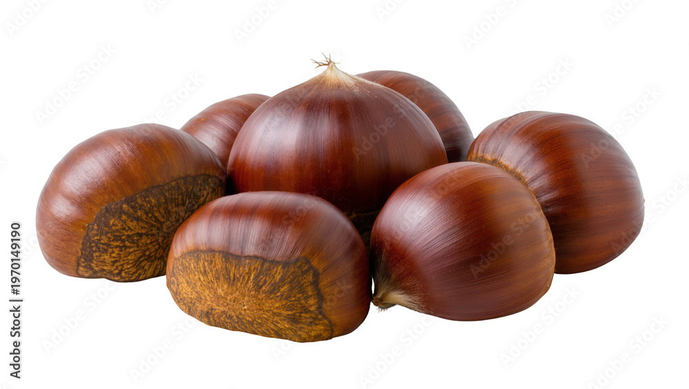 Fototapeta premium Glossy brown chestnuts piled together, showcasing their textured shells and natural forms