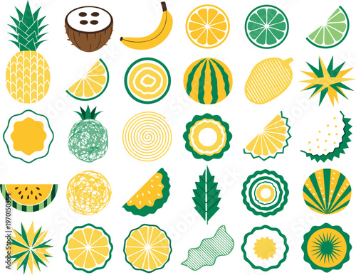 Fresh tropical fruits and citrus slices vector graphics