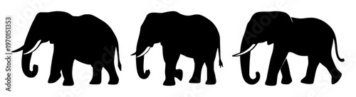 Elephant icon set with black silhouette on white backdrop featuring wildlife conservation, endangered species, iconography with high contrast and minimalist design