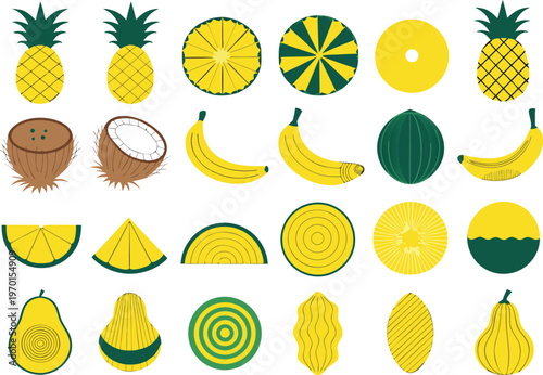 Assorted tropical fruits and citrus slices illustration