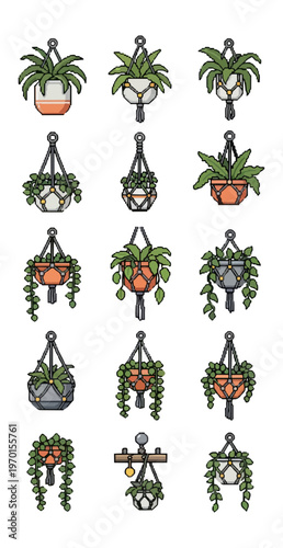 Hanging potted plants collection on black backdrop illustration