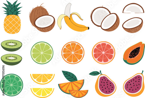 Assorted fresh exotic fruits and citrus slices illustration