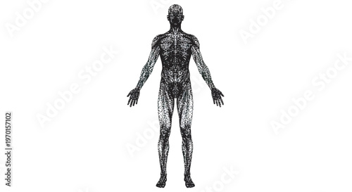 full body human silhouettes made of small dots and particles anatomy inspired front standing pose