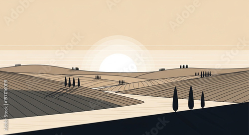 Vineyard rows at sunset landscape.