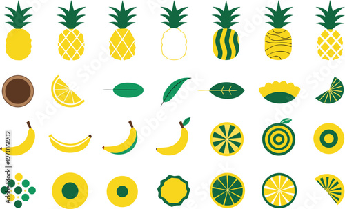 Stylized tropical fruit pineapple banana coconut lemon vector designs