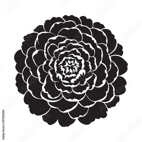 Vintage Style Floral Peony Design with Decorative Script Text in Black and White
