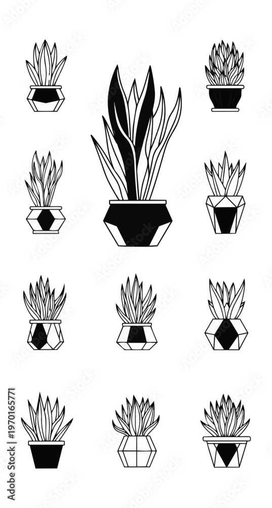Fototapeta premium Graphic illustration of assorted potted plants on black background