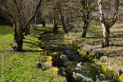 Die Lippach im Lippachtal auf der Schwäbischen Alb nahe Mühlheim an der Donau