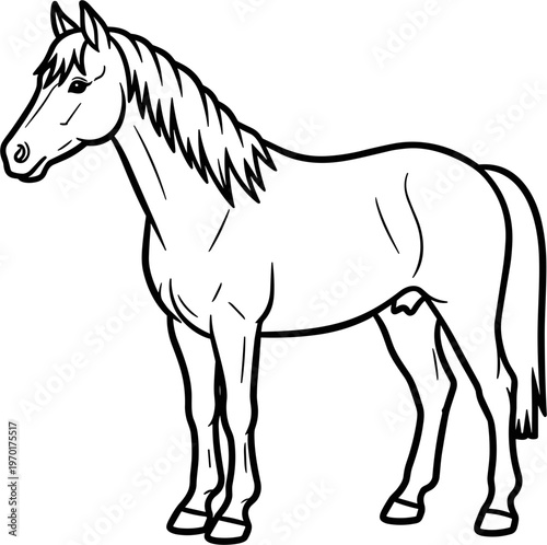 Elegant Horse Silhouette, Stylized Outline Drawing, Vector Art
