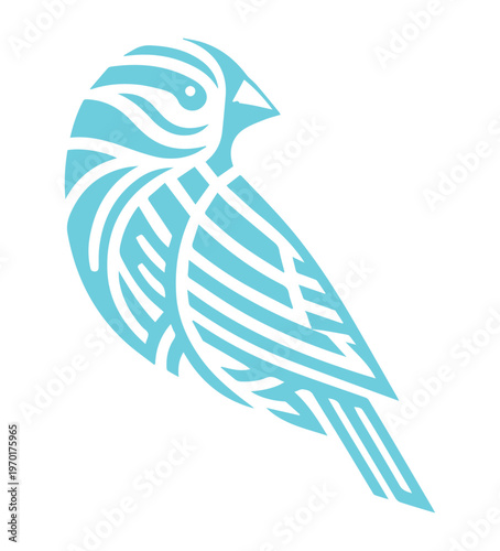 blue Finch with a pattern on its head