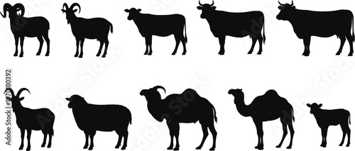 Silhouettes of livestock animals including rams cattle goats sheep camels and calf arranged in rows vector illustration concept for agriculture education design