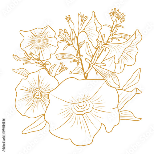 Abstract floral background. Vector illustration. Morning glory flower isolated on transparent or white background. Close-up element for design decoration. Outline bouquet. Line drawing.