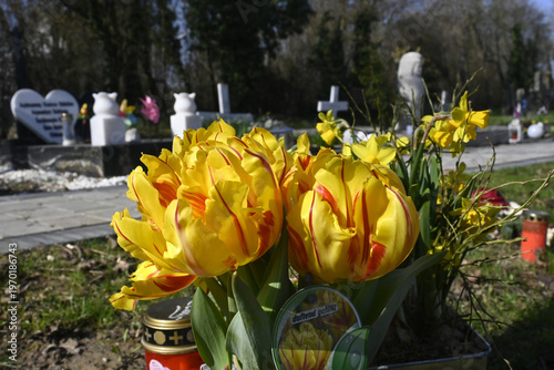 Wallpaper Mural friedhof, grabdekoration Torontodigital.ca