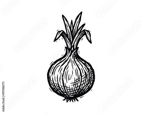 Onion bulb with roots and leaves hand drawn sketch vector illustration food ingredient farm vegetable