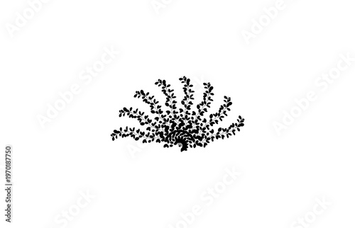 Black Leaf Foliage Silhouette Icon