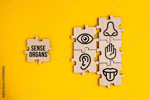 Foto Wooden with five Sense organs icons namely sight, hearing, smell, teste and touch