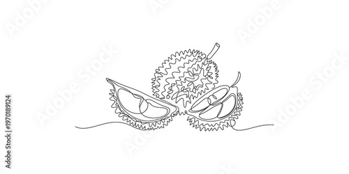 Continuous line drawing of a durian fruit split open to reveal its flesh