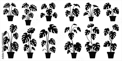 Collection of Monstera Plant Silhouettes in Pots potted plant houseplant
