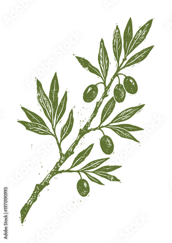 Vertical olive tree branch with leaves and fruits in artistic linocut style for organic product packaging